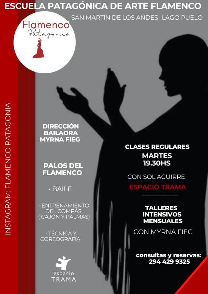 FLAMENCO Escuela de Arte Flamenco