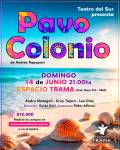 Pavo Colonio