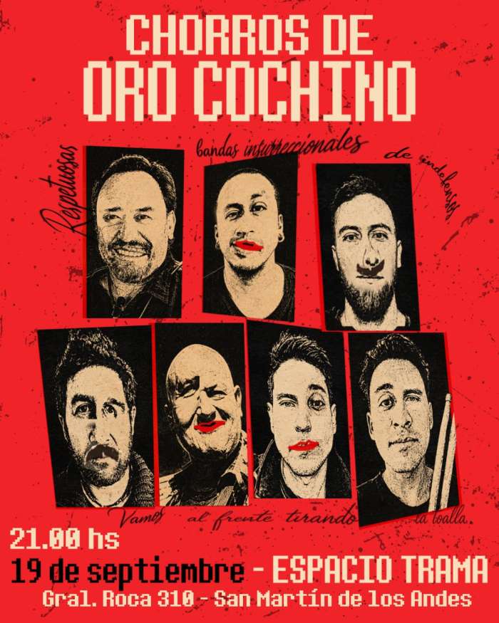 CHORRO DE ORO COCHINO